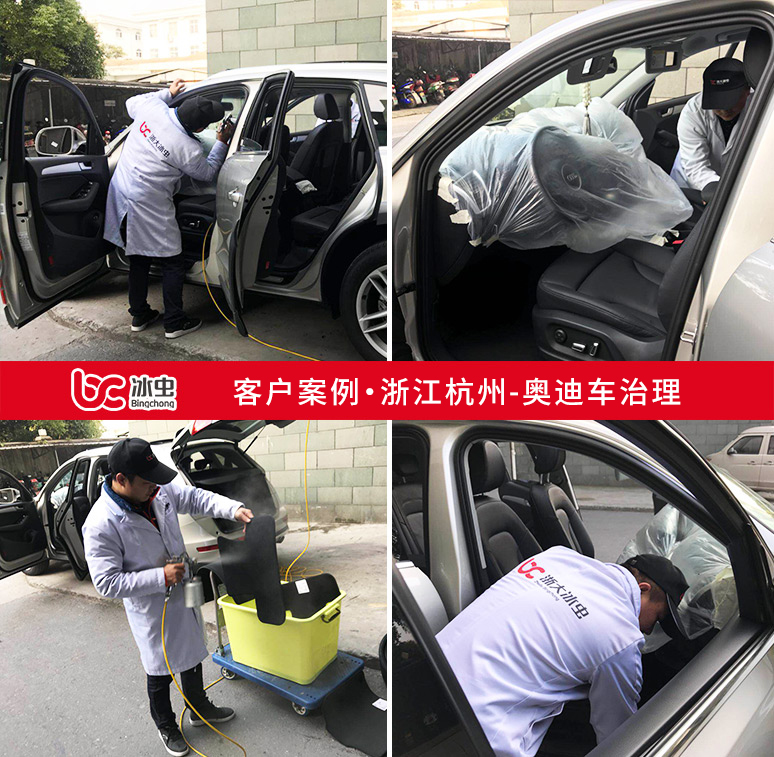 冰蟲(chóng)汽車除甲醛案例-奧迪