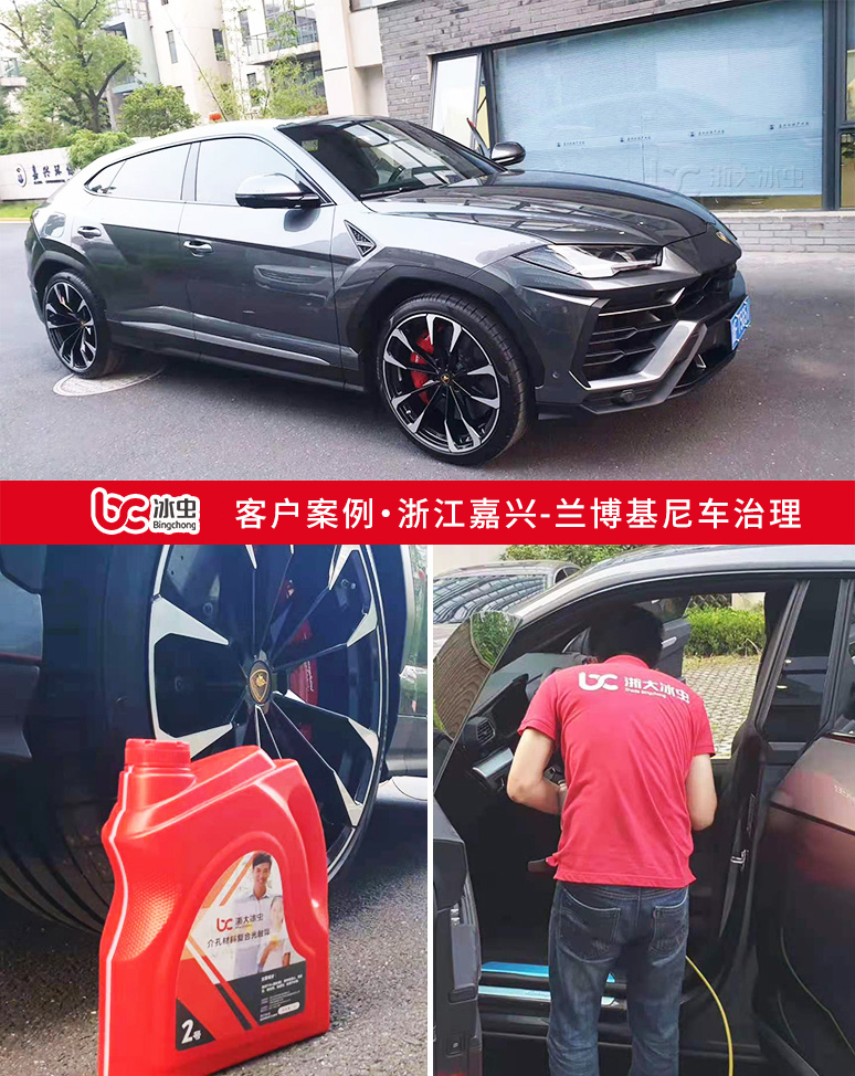 冰蟲(chóng)汽車除甲醛案例-蘭博基尼