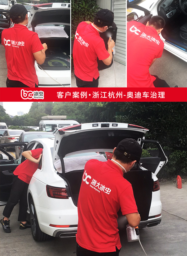 冰蟲(chóng)汽車除甲醛案例-奧迪