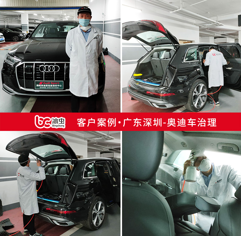 冰蟲(chóng)汽車除甲醛案例-奧迪